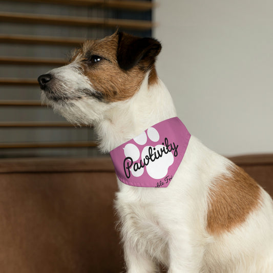 Pet Bandana Collar