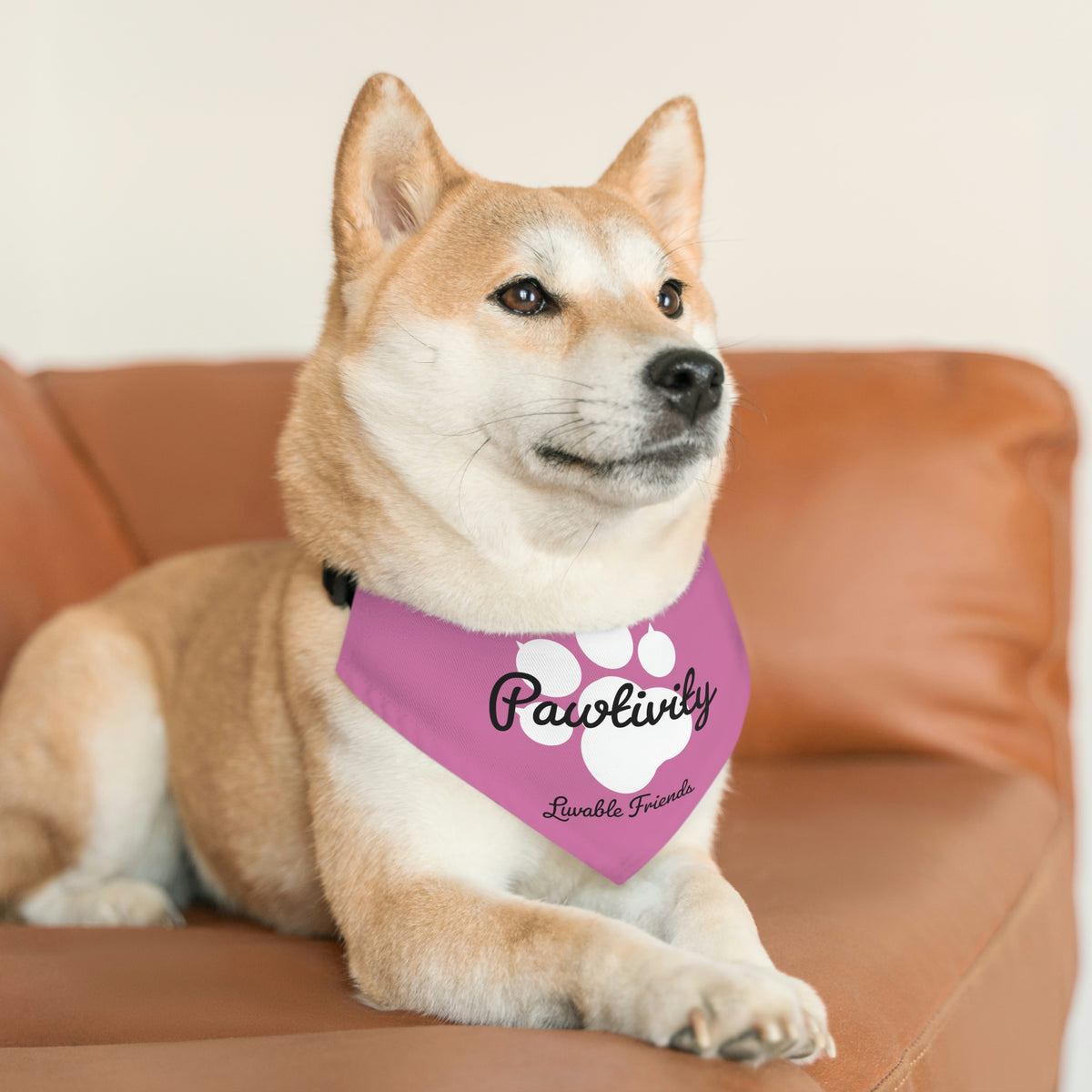 Pet Bandana Collar