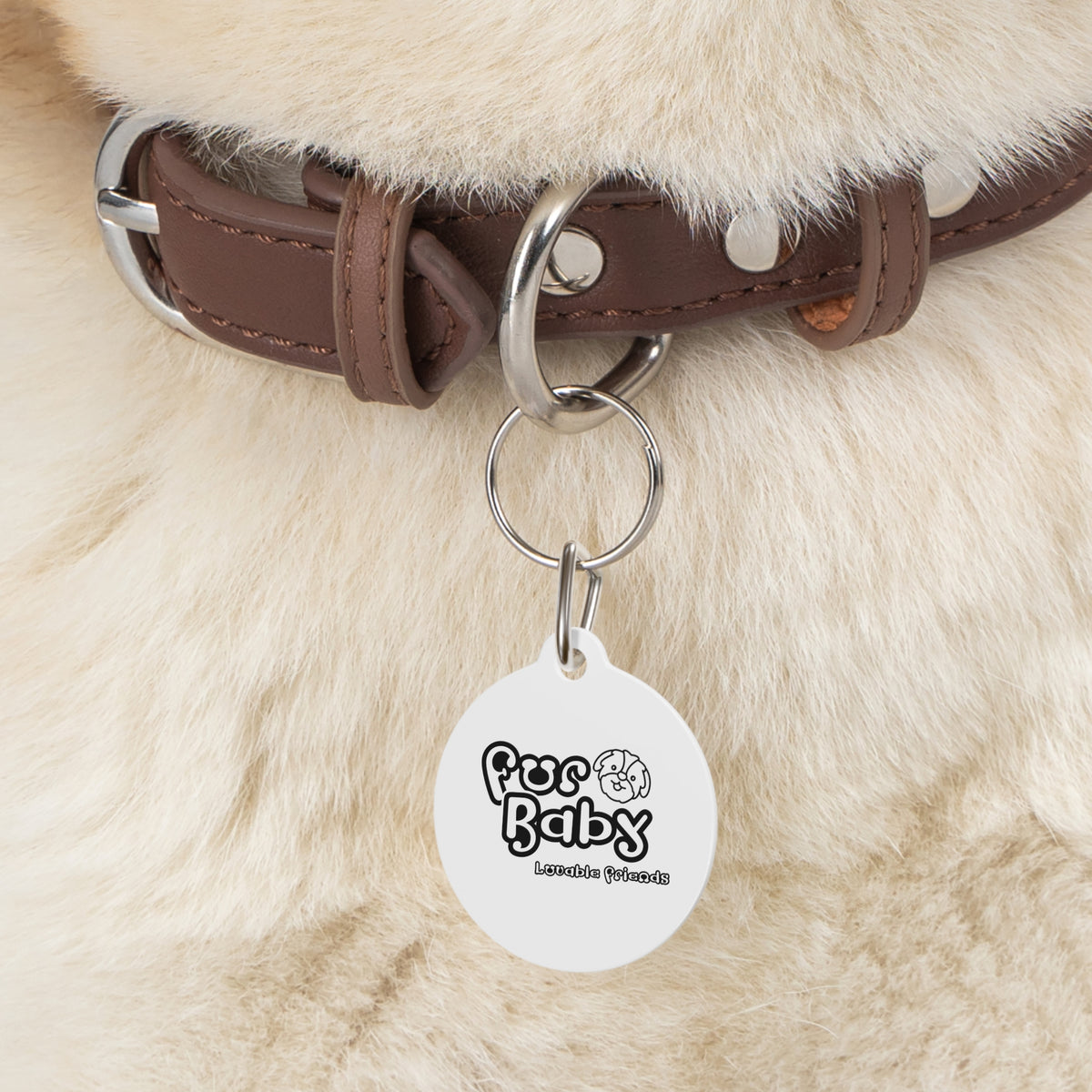 Pet Tag
